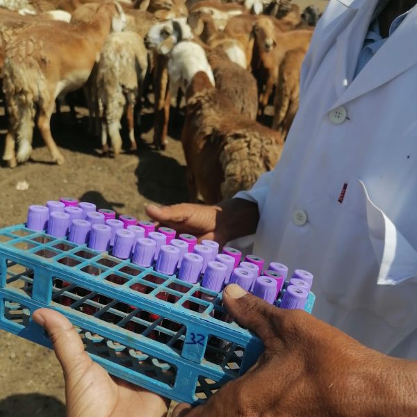 WhatsApp Image 2024 01 02 at 22 30 24 1 600x600