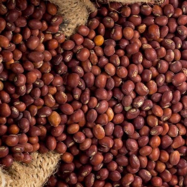 WhatsApp Image 2024 01 03 at 12 21 54 AM 17 600x600