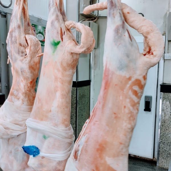 WhatsApp Image 2024 01 03 at 19 35 03 600x600