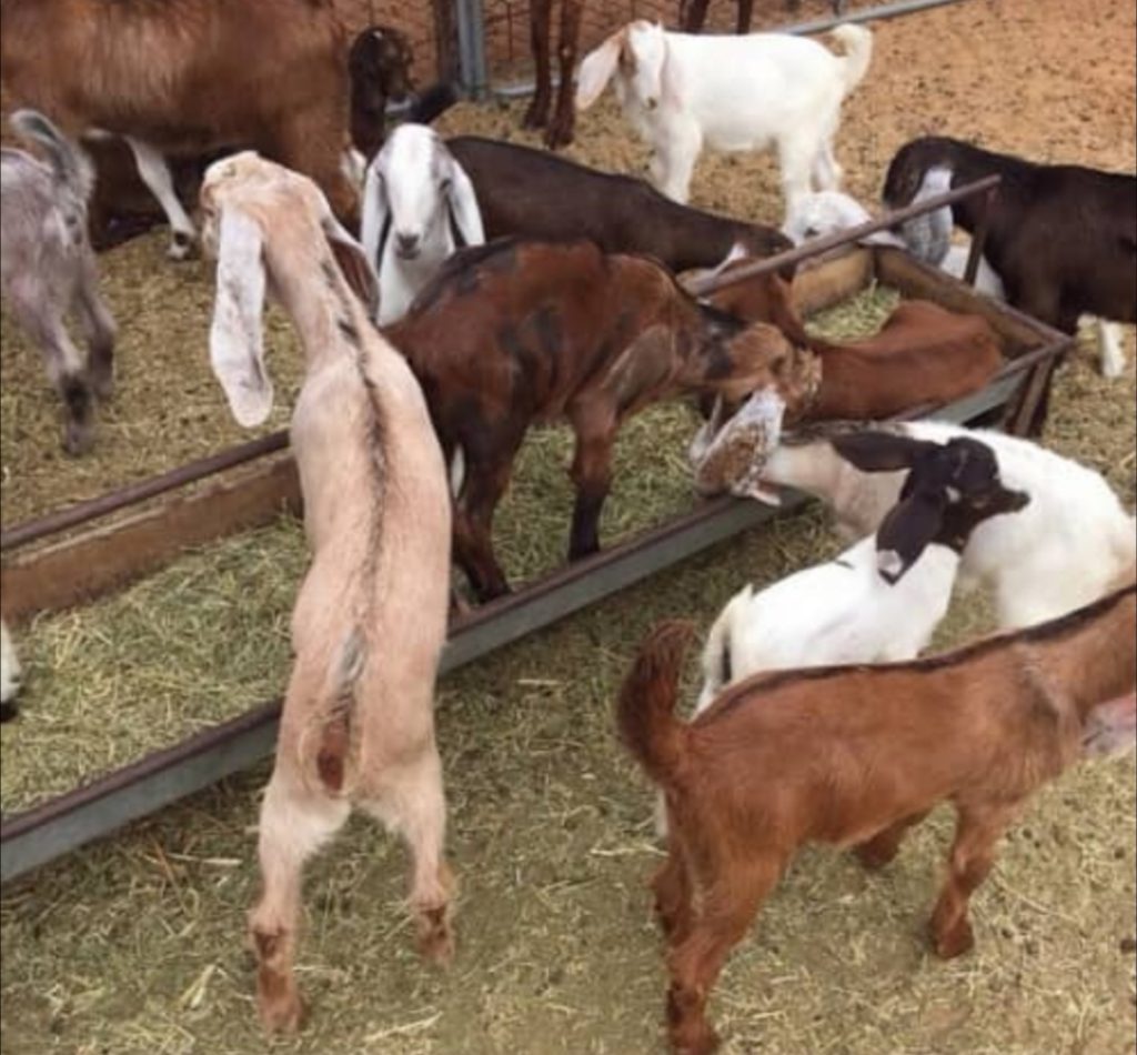 WhatsApp Image 2024 01 06 at 22 18 05 1024x950