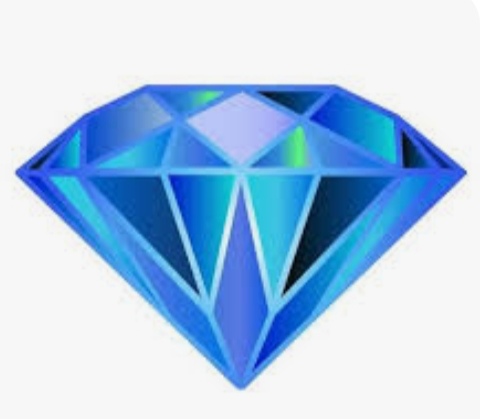 WhatsApp Image 2024 01 13 at 17 40 30 1