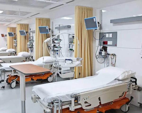 WhatsApp Image 2026 01 01 at 1 20 05 PM 8 600x476